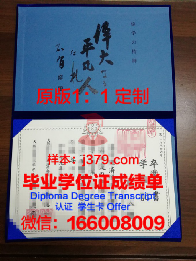 大阪J国际学院毕业证diploma