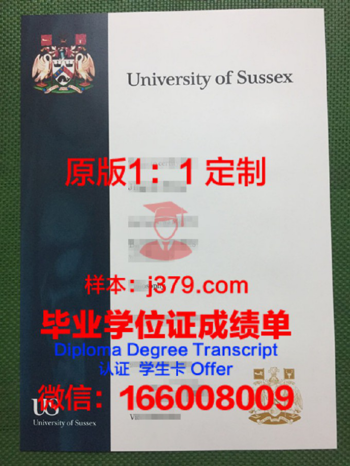 布莱顿和萨塞克斯医学院毕业证认证成绩单Diploma