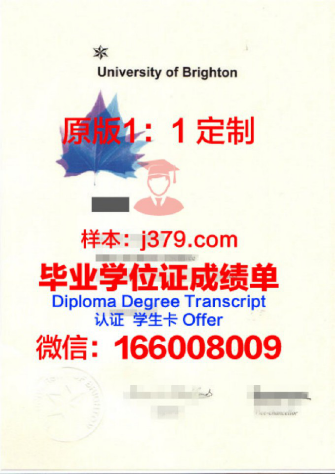 布莱顿中学毕业证学位文凭学历Diploma